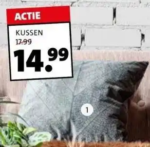 Intratuin Kussen aanbieding