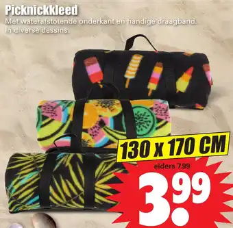 Dirk Picknickkleed 130*170 cm aanbieding