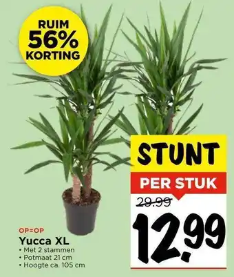 Vomar Voordeelmarkt Yucca xl aanbieding