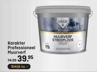 Hubo Karakter professioneel muurverft aanbieding