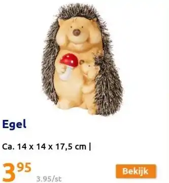 Action Egel aanbieding