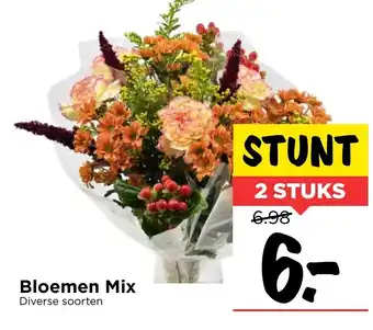 Vomar Voordeelmarkt Bloemen Mix Diverse Soorten 2 Stuks aanbieding