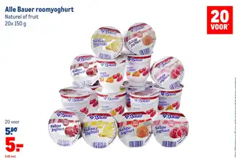 Makro Alle Bauer roomyoghurt aanbieding