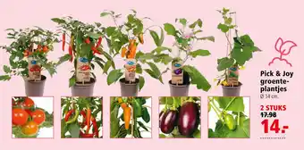 Welkoop Pick & Joy groenteplantjes aanbieding