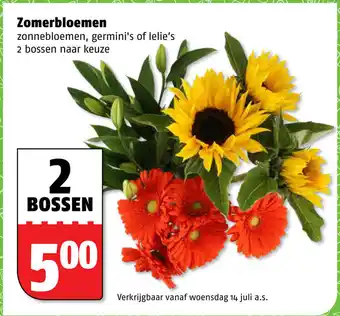 Poiesz Zomerbloemen aanbieding