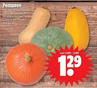 Dirk Pompoen; Spaghettipompoen , Oranje Pompoen, FlesPompoen , Grijze Pompoen aanbieding