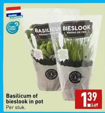 ALDI Basilicum of bieslook in pot aanbieding