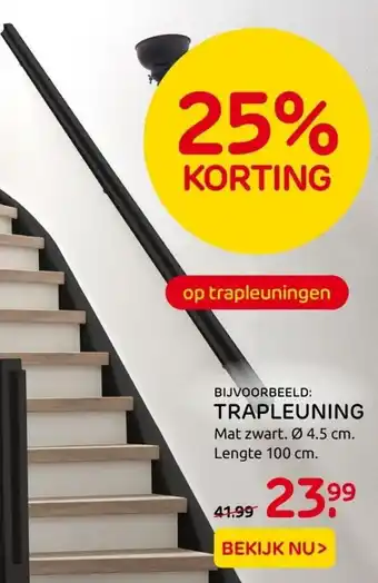 Praxis Trapleuning aanbieding