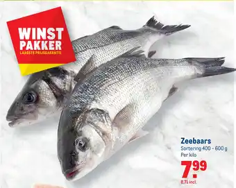 Makro Zeebaars S. aanbieding