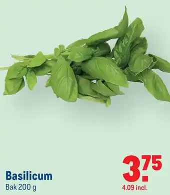 Makro Basilicum aanbieding