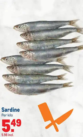 Makro Sardine aanbieding