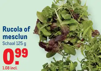 Makro Rucola of męsclun aanbieding