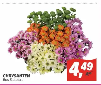 Dekamarkt Chrysanten aanbieding