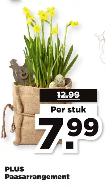 PLUS PLUS Paasarrangement aanbieding