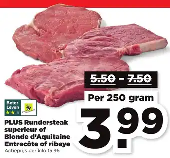 PLUS PLUS Rundersteak superieur of Blonde d'Aquitaine Entrecote of ribeye 250g aanbieding