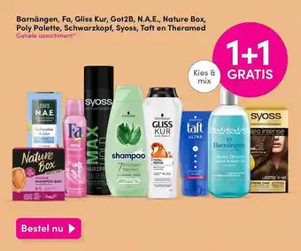 DA Barnängen, fa, gliss kur, got2b, n.a.e., nature box, poly palette, schwarzkopf, syoss, taft en theramed 1+1 gratis aanbieding