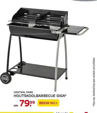 Praxis Central Park Houtskoolbarbecue Giga aanbieding