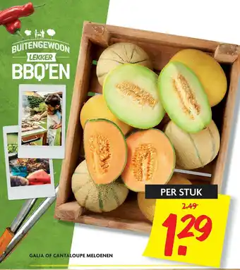 Dekamarkt Galia Of Cantaloupe Meloenen aanbieding