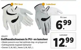 Lidl Crivit Golfhandschoenen In PU- En Lamsleer aanbieding