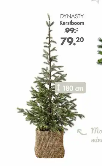 Casa Dynasty kerstboom aanbieding