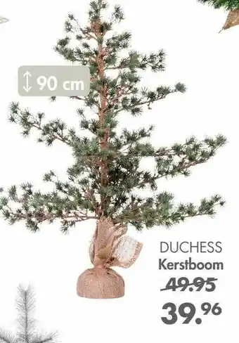 Casa Duchess kerstboom aanbieding