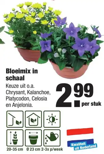 ALDI Bloeimix in schaal aanbieding