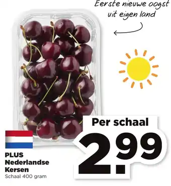 PLUS PLUS Nederlandse Kersen 400g aanbieding