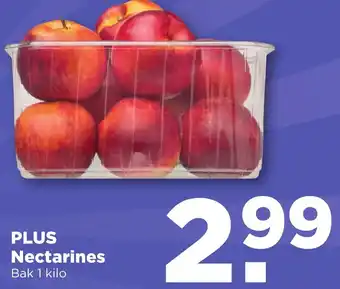 PLUS PLUS Nectarines 1kg aanbieding