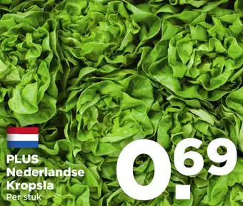 PLUS PLUS Nederlandse Kropsla aanbieding