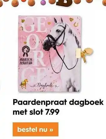 Blokker Paardenpraat dagboek met slot aanbieding