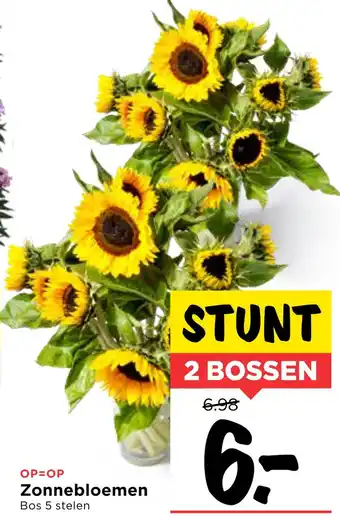 Vomar Voordeelmarkt Zonnebloemen aanbieding