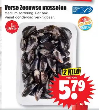 Dirk Verse zeeuwse mosselen aanbieding