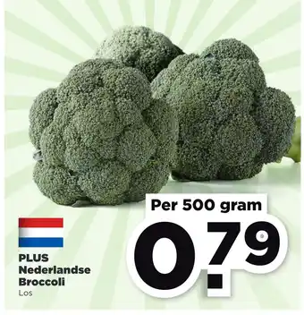 PLUS PLUS Nederlandse Broccoli aanbieding