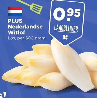 PLUS PLUS Nederlandse Witlof aanbieding