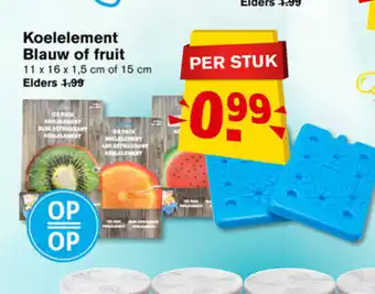 Hoogvliet Koelelement blauw of fruit aanbieding