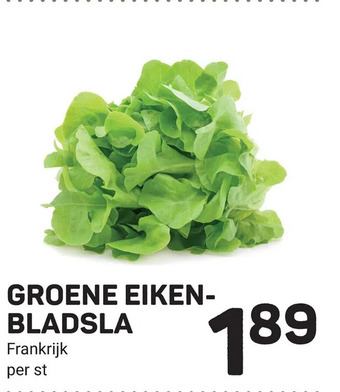 Ekoplaza Groene eikenbladsla aanbieding