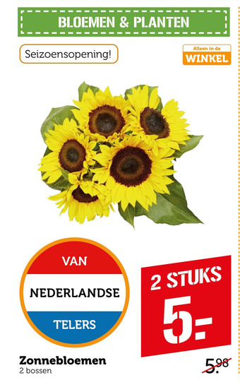 Coop Zonnebloemen aanbieding