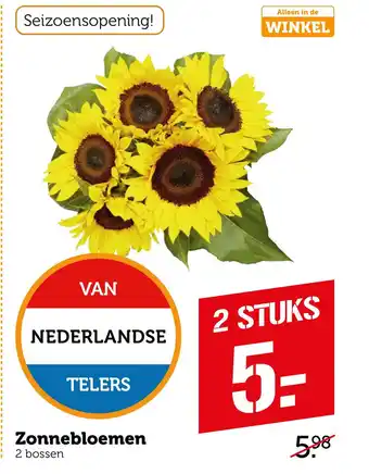 Coop Zonnebloemen aanbieding