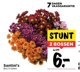 Vomar Voordeelmarkt Santini's aanbieding