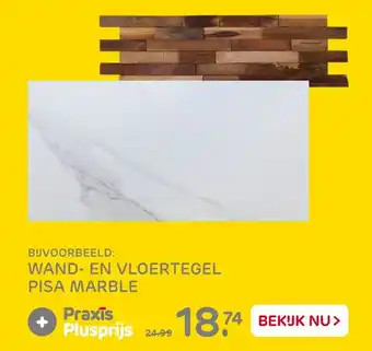 Praxis Wand-/Vloertegel Pisa Marble aanbieding