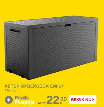 Praxis Keter Opbergbox Emily aanbieding