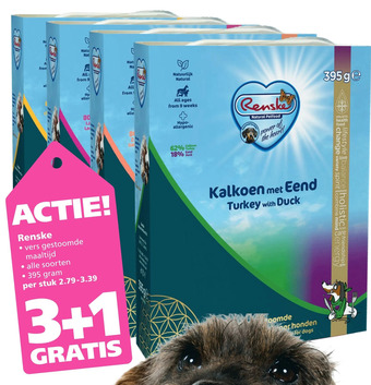 Ranzijn Renske aanbieding