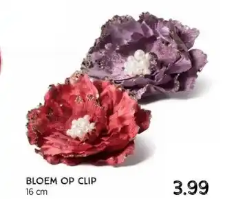 Xenos Bloem op clip aanbieding