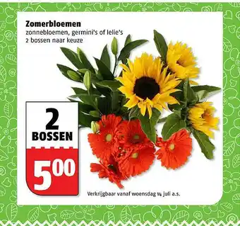 Poiesz Zomerbloemen zonnebloemen, germini's of lelie's aanbieding