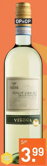 Gall & Gall Terre di Verona Pinot Grigio 75CL Wijn aanbieding