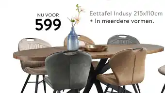 Profijt Meubel Eettafel indusy 215x110cm aanbieding