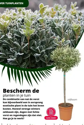 GroenRijk Bescherm de planten in je tuin aanbieding