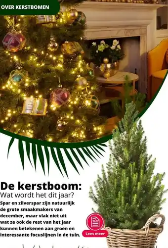 GroenRijk De kerstboom: wat wordt het dit jaar? aanbieding