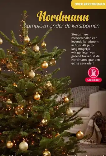 GroenRijk Nordmann kampioen onder de kerstbomen aanbieding