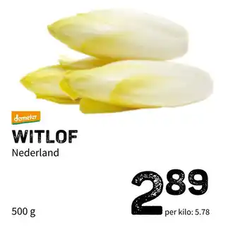 Ekoplaza Witlof 500 g aanbieding